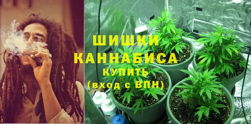 Каннабис Bruce Banner  Норильск 